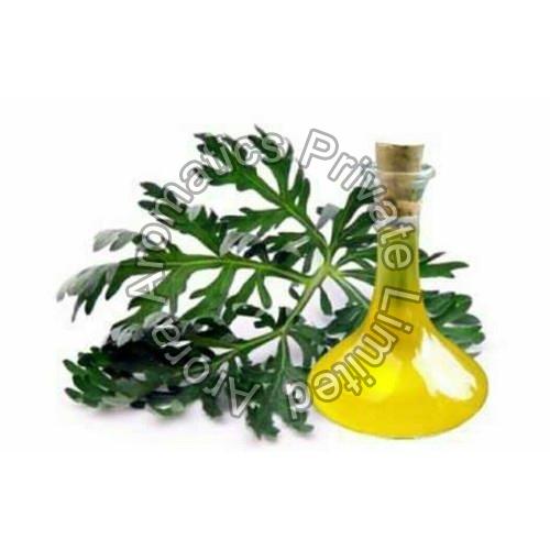 Davana Oil