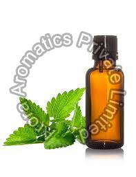 Mentha Arvensis Oil