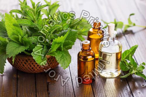 Natural Peppermint Oil