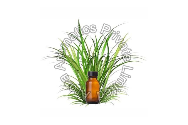 Vetiver Oil